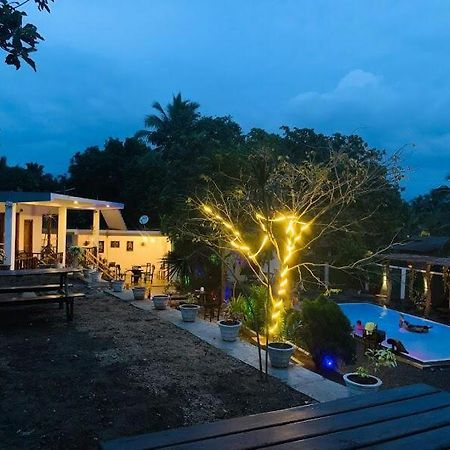 Lily Resort Udawalawe Exterior foto